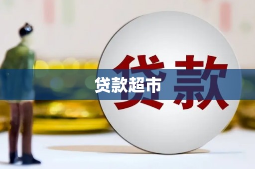 田林贷款超市