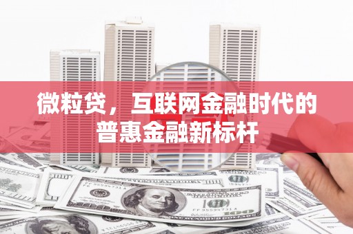 田林微粒贷，互联网金融时代的普惠金融新标杆
