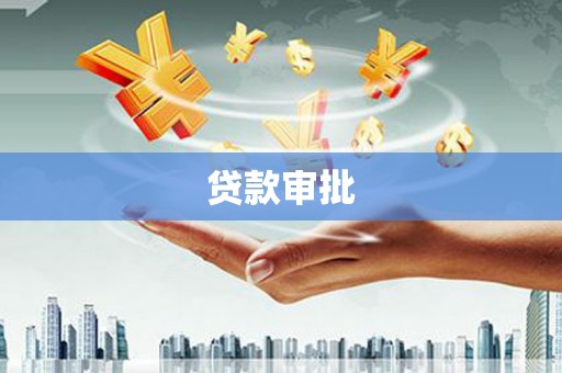 田林贷款审批