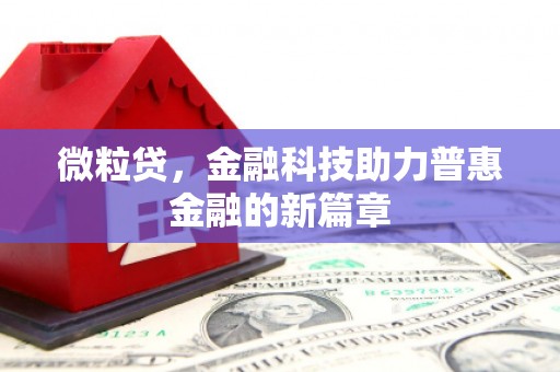 田林微粒贷，金融科技助力普惠金融的新篇章