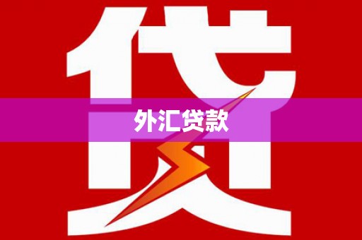 田林外汇贷款