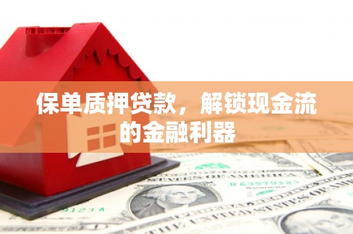田林保单质押贷款，解锁现金流的金融利器