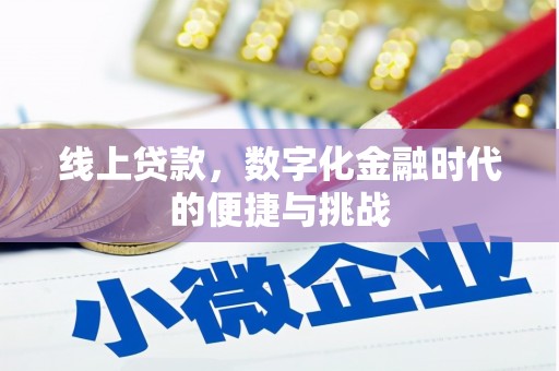田林线上贷款，数字化金融时代的便捷与挑战
