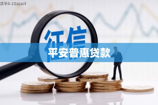 田林平安普惠贷款