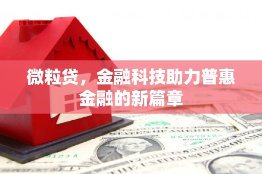 田林微粒贷，金融科技助力普惠金融的新篇章