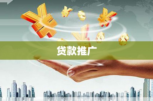 田林贷款推广