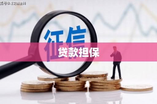 田林贷款担保