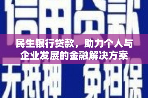田林民生银行贷款，助力个人与企业发展的金融解决方案