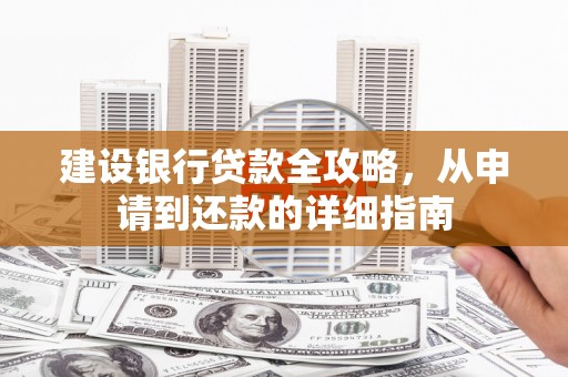 田林建设银行贷款全攻略，从申请到还款的详细指南