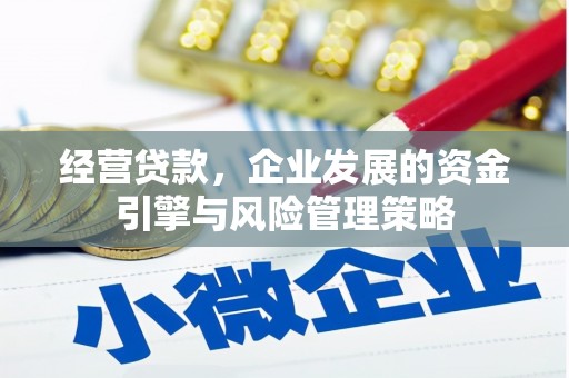 田林经营贷款，企业发展的资金引擎与风险管理策略