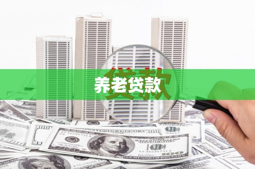 田林养老贷款