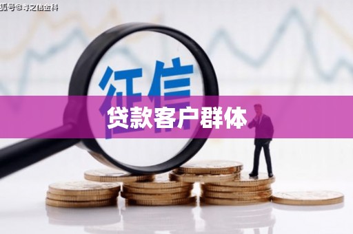 田林贷款客户群体
