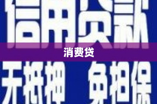 田林消费贷