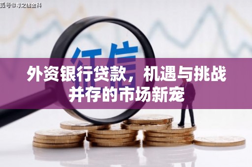 田林外资银行贷款，机遇与挑战并存的市场新宠
