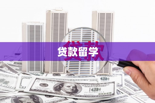 田林贷款留学