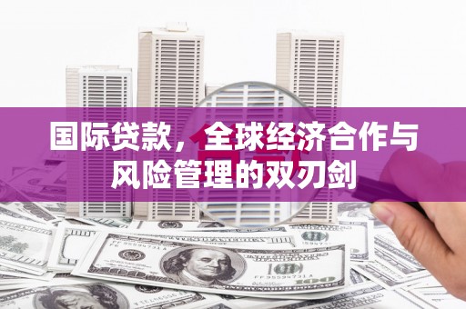 田林国际贷款，全球经济合作与风险管理的双刃剑