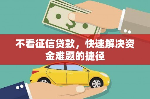 田林不看征信贷款，快速解决资金难题的捷径