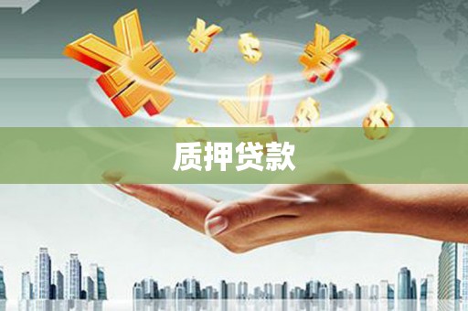 田林质押贷款