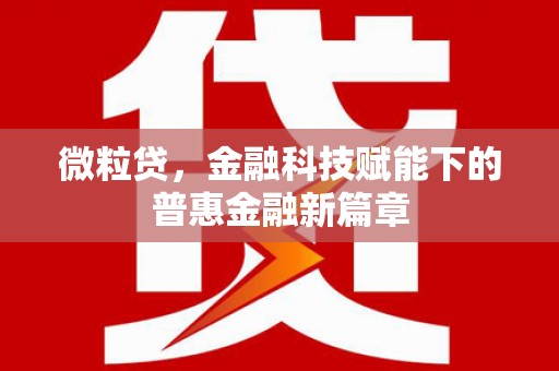 田林微粒贷，金融科技赋能下的普惠金融新篇章