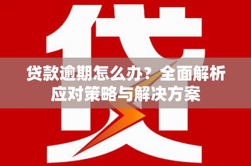 田林贷款逾期怎么办？全面解析应对策略与解决方案