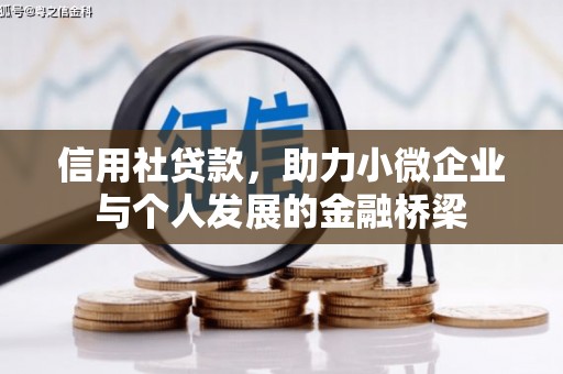 田林信用社贷款，助力小微企业与个人发展的金融桥梁