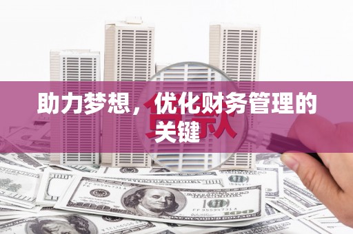 田林助力梦想，优化财务管理的关键