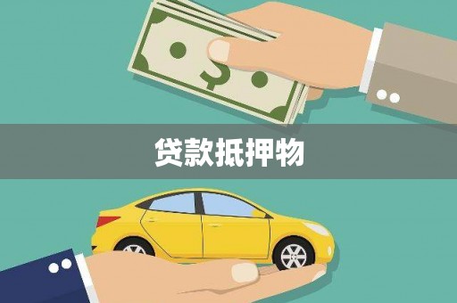 田林贷款抵押物