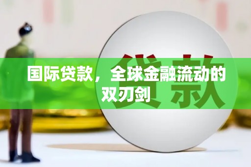 田林国际贷款，全球金融流动的双刃剑