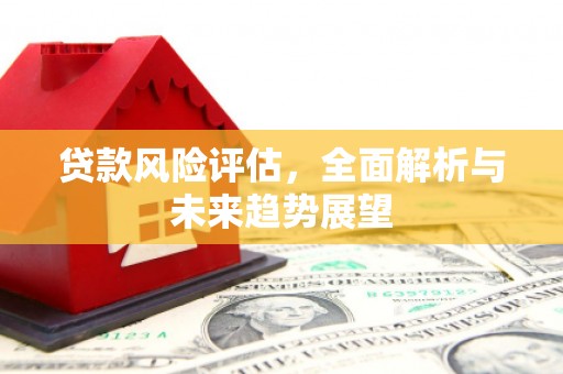 田林贷款风险评估，全面解析与未来趋势展望