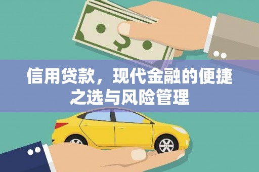 田林信用贷款，现代金融的便捷之选与风险管理
