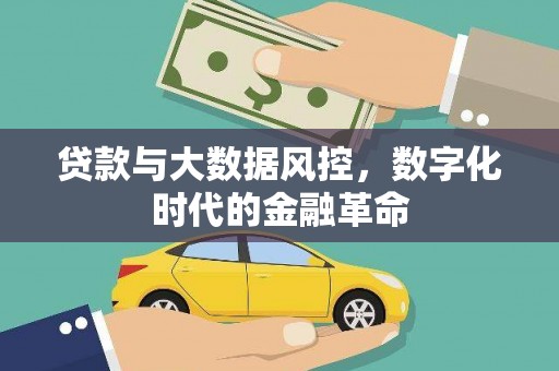 田林贷款与大数据风控，数字化时代的金融革命