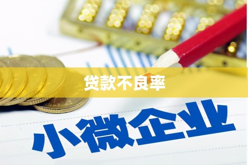 田林贷款不良率