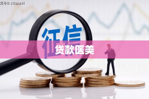 田林贷款医美