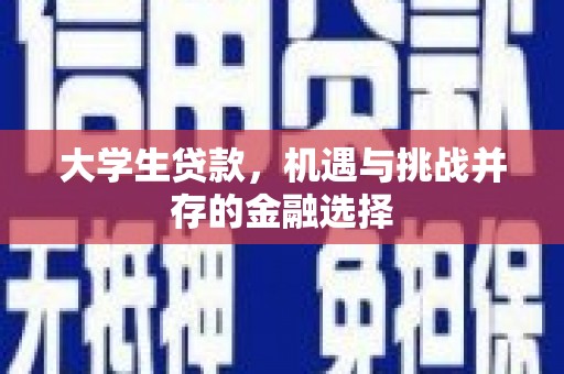 田林大学生贷款，机遇与挑战并存的金融选择