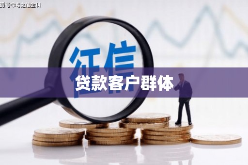 田林贷款客户群体