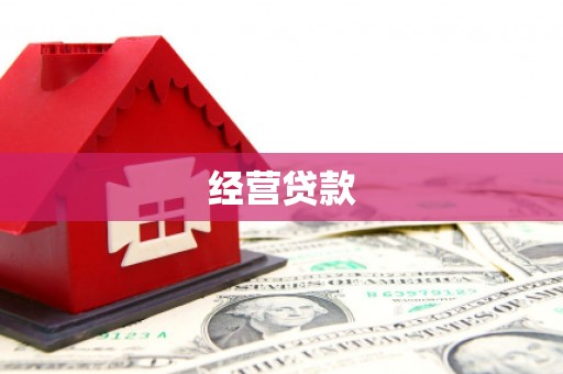 田林经营贷款