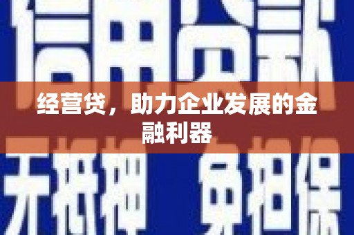 田林经营贷，助力企业发展的金融利器