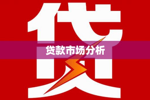 田林贷款市场分析