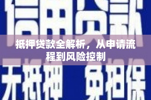 田林抵押贷款全解析，从申请流程到风险控制