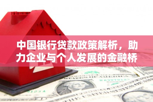 田林中国银行贷款政策解析，助力企业与个人发展的金融桥梁