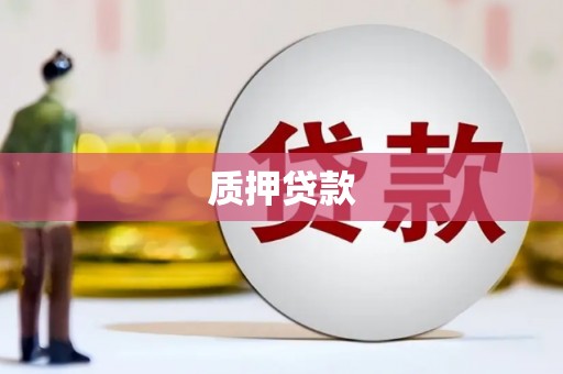 田林质押贷款