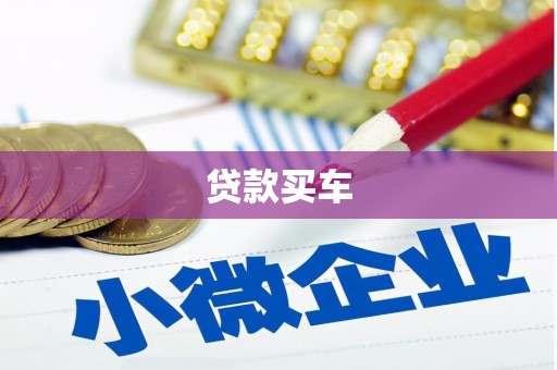 田林贷款买车