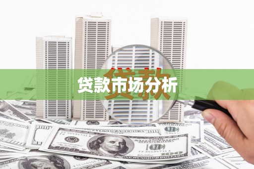 田林贷款市场分析