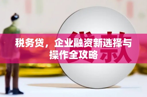 田林税务贷，企业融资新选择与操作全攻略