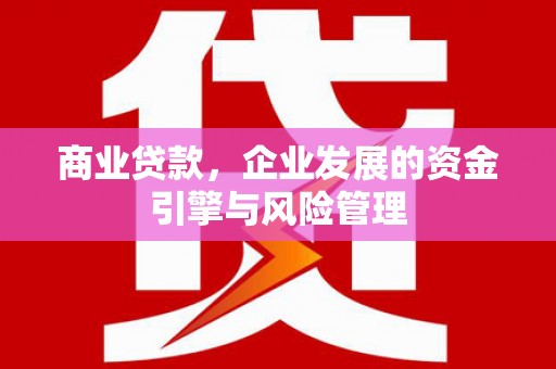 田林商业贷款，企业发展的资金引擎与风险管理