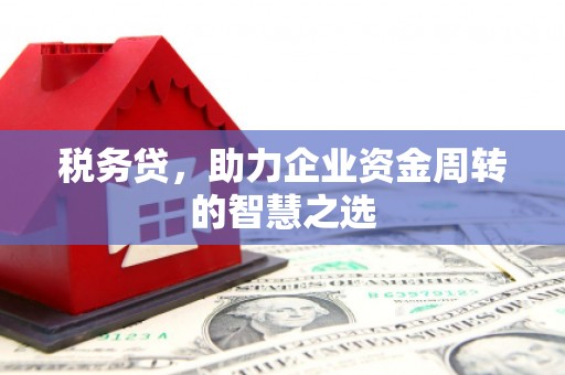 田林税务贷，助力企业资金周转的智慧之选