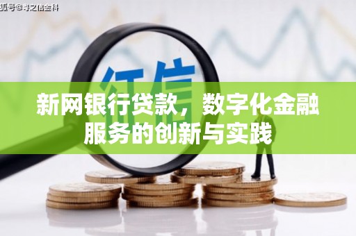 田林新网银行贷款，数字化金融服务的创新与实践