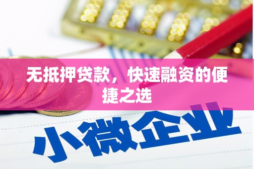 田林无抵押贷款，快速融资的便捷之选