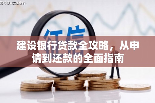 田林建设银行贷款全攻略，从申请到还款的全面指南