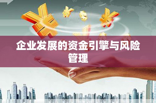 田林企业发展的资金引擎与风险管理